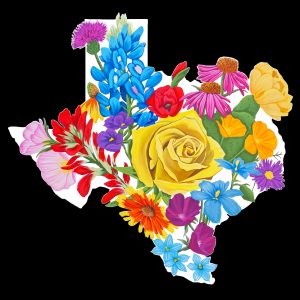 Texas Wildflowers- 12x12”