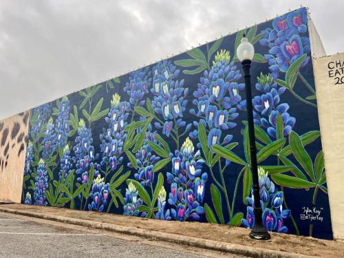 Texas Arts & Music Festival 2023 headling artist - Glitch bluebonnet mural