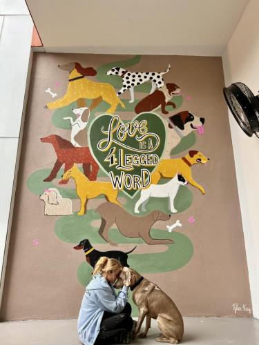 Love is A 4 Legged Word- Elev8 Apartments- Downtown Houston, Tx