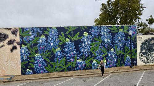 Glitch Bluebonnet mural- detail